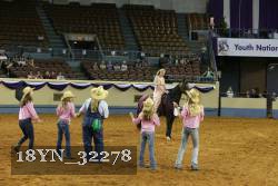 18YN_32278 thumbnail