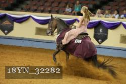 18YN_32282 thumbnail