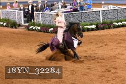18YN_32284 thumbnail