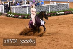 18YN_32285 thumbnail