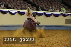 18YN_32288 thumbnail