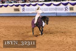 18YN_32311 thumbnail