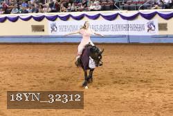 18YN_32312 thumbnail