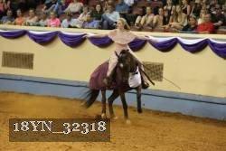 18YN_32318 thumbnail