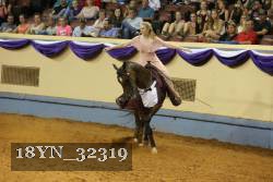 18YN_32319 thumbnail