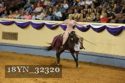 18YN_32320 thumbnail
