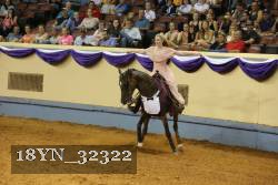 18YN_32322 thumbnail