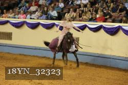 18YN_32323 thumbnail