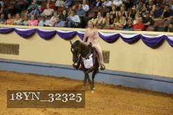 18YN_32325 thumbnail