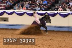 18YN_32329 thumbnail