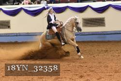 18YN_32358 thumbnail