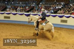 18YN_32360 thumbnail