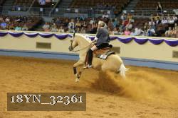 18YN_32361 thumbnail
