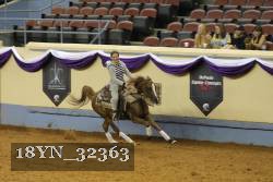 18YN_32363 thumbnail