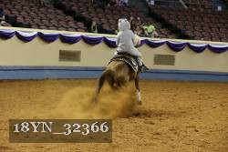 18YN_32366 thumbnail