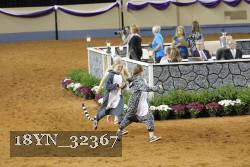 18YN_32367 thumbnail