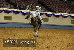 18YN_32370 thumbnail