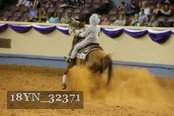 18YN_32371 thumbnail