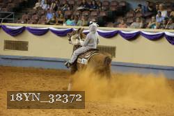 18YN_32372 thumbnail