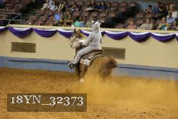 18YN_32373 thumbnail