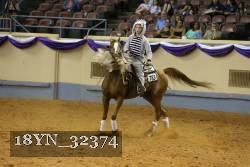 18YN_32374 thumbnail