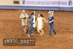 18YN_32377 thumbnail