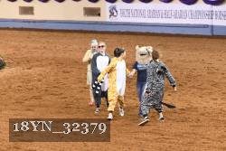 18YN_32379 thumbnail