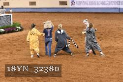 18YN_32380 thumbnail