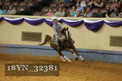18YN_32381 thumbnail