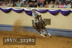 18YN_32382 thumbnail