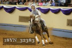 18YN_32383 thumbnail