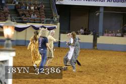 18YN_32386 thumbnail