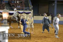 18YN_32387 thumbnail
