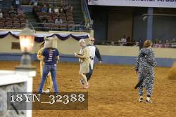 18YN_32388 thumbnail