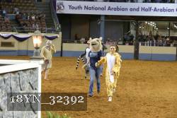 18YN_32392 thumbnail