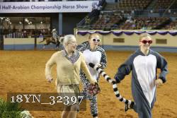 18YN_32397 thumbnail