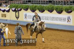 18YN_32401 thumbnail