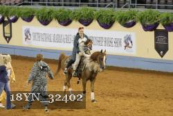 18YN_32402 thumbnail