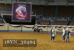 18YN_32404 thumbnail