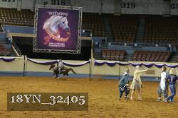 18YN_32405 thumbnail