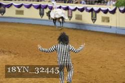18YN_32445 thumbnail