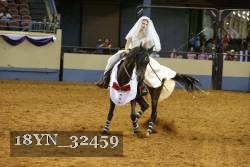 18YN_32459 thumbnail
