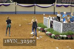 18YN_32507 thumbnail