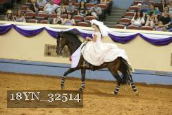 18YN_32514 thumbnail