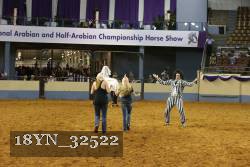 18YN_32522 thumbnail