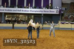 18YN_32523 thumbnail