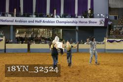 18YN_32524 thumbnail