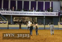 18YN_32525 thumbnail