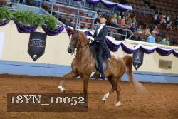 18YN_10052 thumbnail