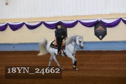 18YN_24662 thumbnail